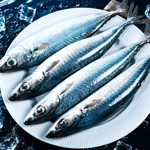 Fresh Frozen Whole Mackerel