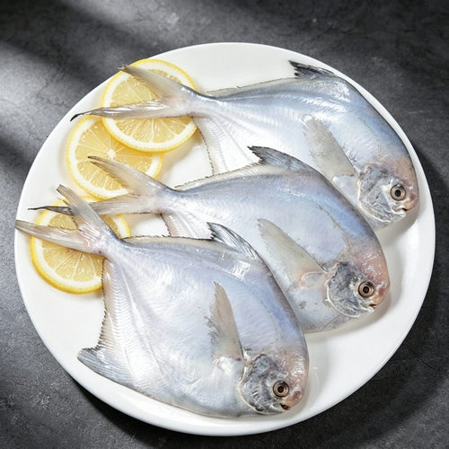 Frozen Silver Pomfret, White Pomfret, Deep Sea Fish 500g