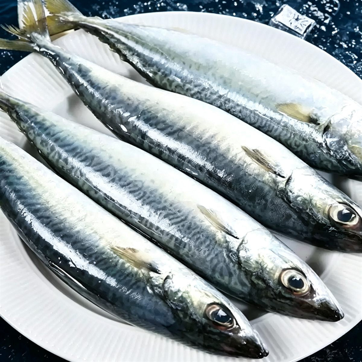 Fresh Frozen Whole Mackerel